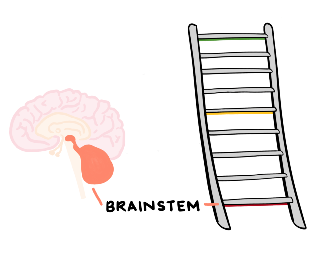 Trauma and the Brain – Stabilise